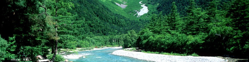 �C���r�B�J�[�{�~�X�g���T�C�g